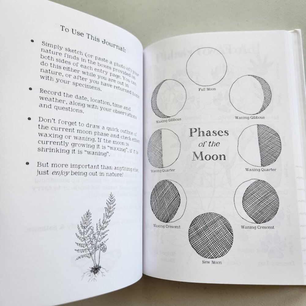 NEW Nature Journal for Kids Activity Book Notebook Hardcover Book Birdwatching - Picture 5 of 7